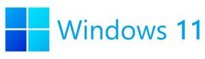Microsoft New Windows 11 Version Official Logo